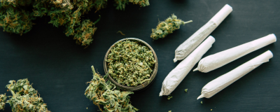 New Evidence Strengthens Link Between Cannabis Use in Pregnancy and Poor Birth Outcomes