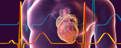 Association of Pathogenic DNA Variants Predisposing to Cardiomyopathy With Cardiovascular Disease Outcomes and All-Cause Mortality