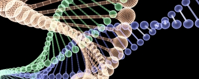 Ultrarapid Nanopore Genome Sequencing in a Critical Care Setting