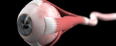 Blood flow in the optic nerve head in patients with primary aldosteronism